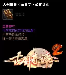 16.webp