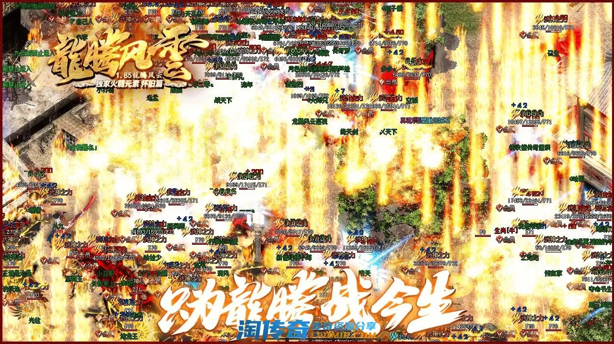 image.webp