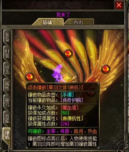 3.webp