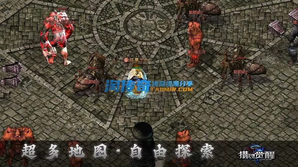 dt19.webp