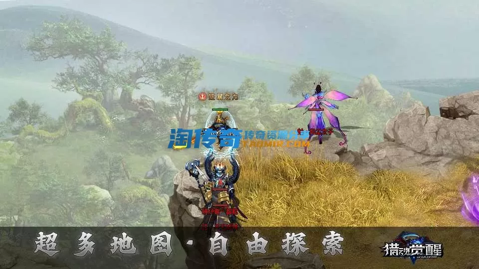dt20.webp